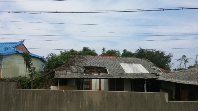 MyPhoto_1178986359_0058.jpg