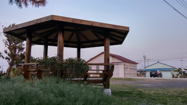 MyPhoto_1178986359_0225.jpg