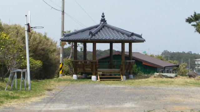 MyPhoto_1178986359_0232.jpg