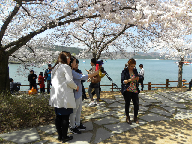 DSCN4392.JPG
