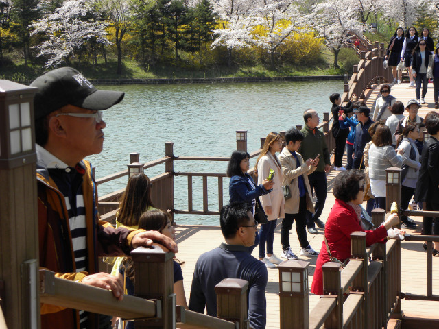 DSCN4397.JPG