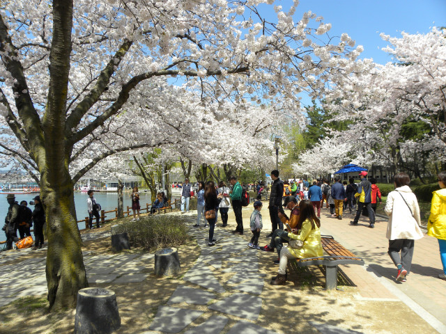 DSCN4396.JPG
