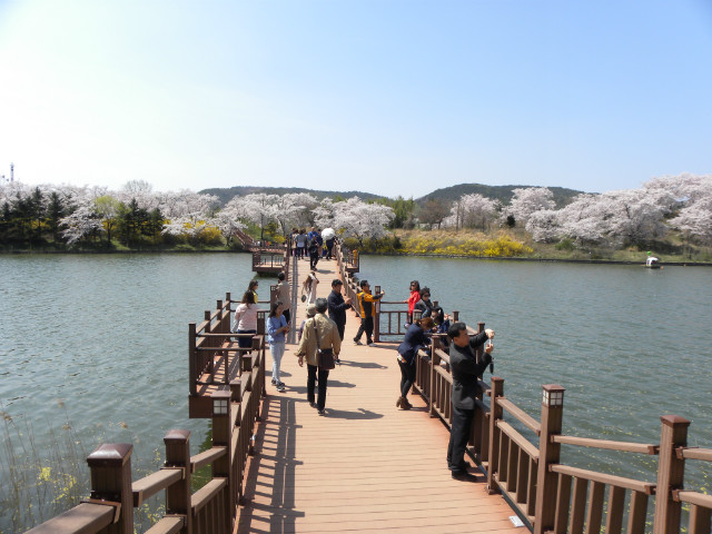 DSCN4401.JPG
